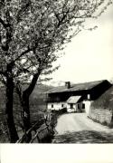 Motiv: Frühling (Positivo) di Foto Sandro Saltuari, Bozen (1950/01/01 - 1969/12/31)