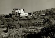 Bauernhof Hofstatt bei Neustift (Vahrn) (Positivo) di Foto Sandro Saltuari, Bozen (1950/01/01 - 1979/12/31)