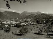 bosco (Positivo) di Foto Sandro Saltuari, Bozen (1950/01/01 - 1969/12/31)