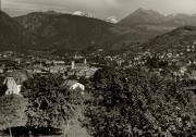 bosco (Positivo) di Foto Sandro Saltuari, Bozen (1950/01/01 - 1969/12/31)