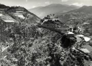 bosco (Positivo) di Foto Löbl, Bad Tölz/Oberbayern (1950/01/01 - 1969/12/31)