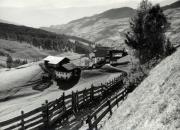 bosco (Positivo) di Foto Löbl, Bad Tölz/Oberbayern (1950/01/01 - 1969/12/31)