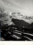 recinto (Positivo) di Foto Sandro Saltuari, Bozen (1950/01/01 - 1969/12/31)