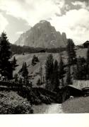 Feldweg (Positivo) di Foto Sandro Saltuari, Bozen (1950/01/01 - 1969/12/31)