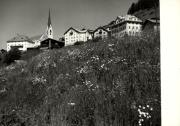 fiore (Positivo) di Foto Sandro Saltuari, Bozen (1950/01/01 - 1969/12/31)