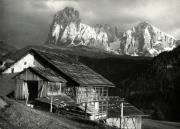 bosco (Positivo) di Foto Löbl, Bad Tölz/Oberbayern (1950/01/01 - 1969/12/31)