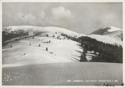 Skipisten (Positivo) di Foto Giulio Marino, V. Veneto (1920/01/01 - 1939/12/31)