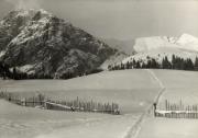 Wintersport, Skipisten Hafling-Meran 2000 (Positivo) di Foto Edizioni Ghedina (1950/01/01 - 1969/12/31)