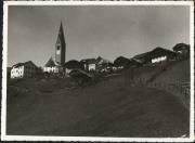 bosco (Positivo) di Foto Felderer (1930/01/01 - 1959/12/31)