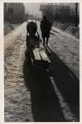 Transport: Ochse/Rind beim Schlittenziehen (Positivo) di Foto Pizzi & Pizio, Milano (1950/01/01 - 1969/12/31)