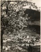prato (Positivo) di Foto M. Planinschek, Brixen (1920/01/01 - 1939/12/31)