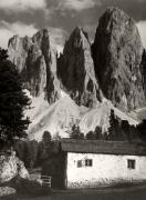 Zirbe (Positivo) di Foto Wenzel Fischer, Garmisch (1960/01/01 - 1979/12/31)