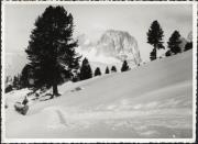 Motiv: Winter (Positivo) (1930/01/01 - 1959/12/31)