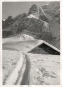 Motiv: Winter (Positivo) (1930/01/01 - 1969/12/31)