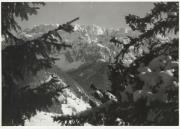 Motiv: Winter (Positivo) (1930/01/01 - 1959/12/31)