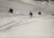 Wintersport, Skispuren im Schnee (Positivo) (1930/01/01 - 1959/12/31)