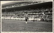 Fest (Positivo) (1948/10/01 - 1948/10/31)