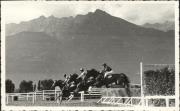 Wettkampf: Pferderennen (Positivo) (1948/01/01 - 1948/12/31)