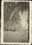 Motiv: Winter (Positivo) (1930/01/01 - 1959/12/31)