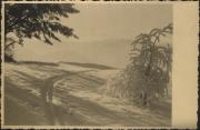 Wintersport, Skispuren im Schnee (Positivo) (1930/01/01 - 1959/12/31)