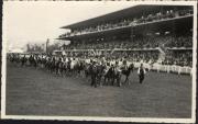 Fest (Positivo) (1948/10/01 - 1948/10/31)