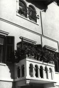 geranio (Positivo) (1950/01/01 - 1969/12/31)