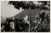 Weinberge in/bei Tirol (Positivo) di Foto E. Joffé, Meran (1930/01/01 - 1959/12/31)