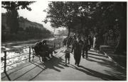 Promenade (Positivo) di Foto Pedrotti, Bozen (1950/01/01 - 1969/12/31)