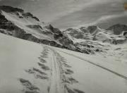 Wintersport, Skispuren im Schnee (Positivo) di Foto G. Marini (1920/01/01 - 1939/12/31)