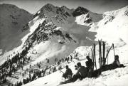 Wintersport, Skifahrer (Positivo) (1920/01/01 - 1939/12/31)