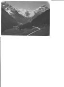 bosco (Positivo) di Bährendt, Leo (1902/01/01 - 1950/12/31)