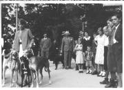 cane (Positivo) di Foto E. Joffé, Meran (1930/01/01 - 1959/12/31)