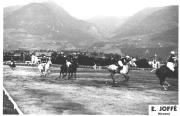 cavallo (Positivo) di Foto E. Joffé, Meran (1930/01/01 - 1959/12/31)