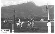 cavallo (Positivo) di Foto E. Joffé, Meran (1930/01/01 - 1959/12/31)