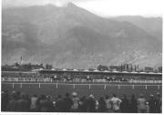 Zuschauer (Positivo) di Foto Schöner, Meran (1920/01/01 - 1942/12/31)