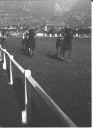 Wettkampf: Pferderennen (Positivo) (1930/01/01 - 1949/12/31)