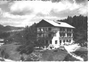 albergo (Positivo) di Foto Pellegrini, Cles (1950/01/01 - 1969/12/31)