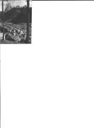 bosco (Positivo) di Foto Fränzl (1930/01/01 - 1959/12/31)