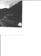 bosco (Positivo) (1930/01/01 - 1969/12/31)