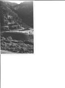 bosco (Positivo) (1930/01/01 - 1969/12/31)