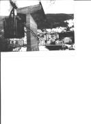 bosco (Positivo) (1930/01/01 - 1969/12/31)