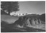 Getreide/Korn (Positivo) di Bährendt, Leo (1902/01/01 - 1939/12/31)