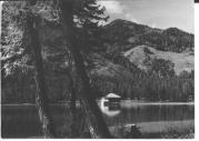 Bergsee (Positivo) (1930/01/01 - 1959/12/31)