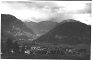 bosco (Positivo) di Foto E. Pedrotti, Bozen (1930/01/01 - 1959/12/31)