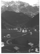 bosco (Positivo) (1930/01/01 - 1959/12/31)