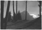 Lärche (Positivo) di Bährendt, Leo (1902/01/01 - 1939/12/31)