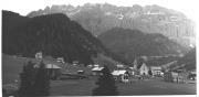 bosco (Positivo) (1950/01/01 - 1969/12/31)