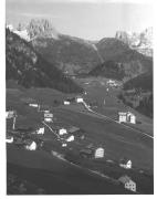 bosco (Positivo) (1930/01/01 - 1969/12/31)