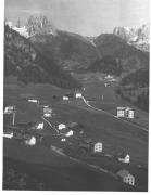 bosco (Positivo) (1930/01/01 - 1959/12/31)