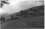 bosco (Positivo) (1950/01/01 - 1969/12/31)
